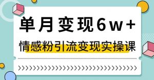 单月变现6W+，抖音情感粉引流变现实操课，小白可做，轻松上手，独家赛道【揭秘】-网创资源吧
