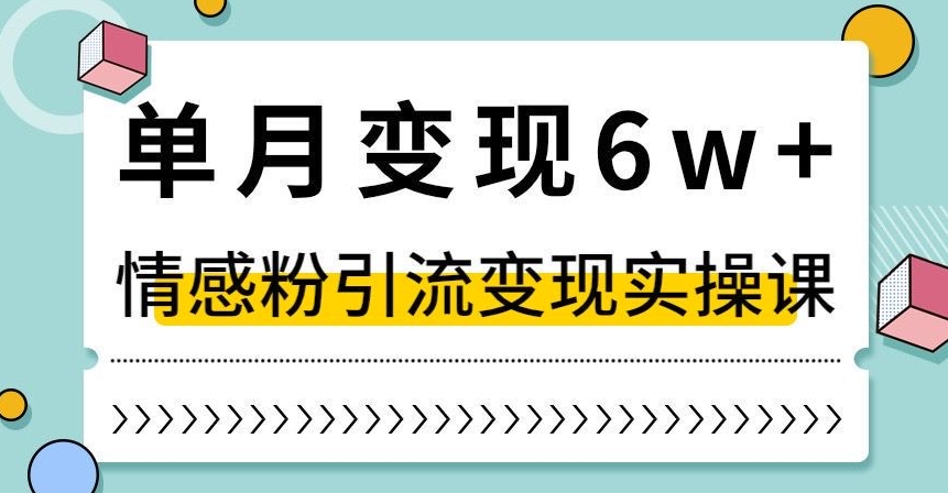 单月变现6W+，抖音情感粉引流变现实操课，小白可做，轻松上手，独家赛道【揭秘】-网创资源吧