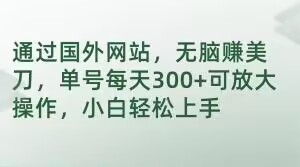 通过国外网站，无脑赚美刀，单号每天300+可放大操作，小白轻松上手【揭秘】-网创资源吧