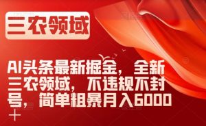 AI头条最新掘金，全新三农领域，不违规不封号，简单粗暴月入6000＋【揭秘】-网创资源吧