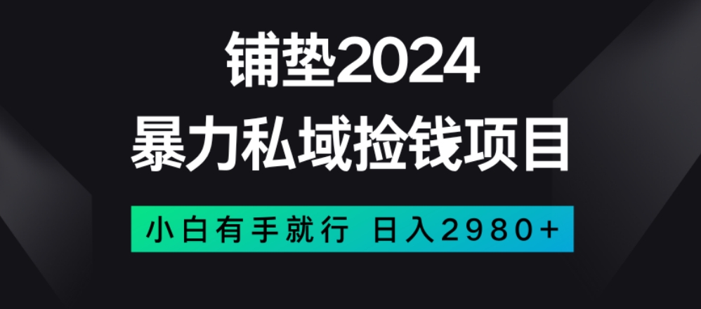 暴力私域捡钱项目，小白无脑操作，日入2980【揭秘】-网创资源吧