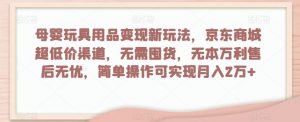 母婴玩具用品变现新玩法,京东商城超低价渠道,简单操作可实现月入2万+【揭秘】-网创资源吧
