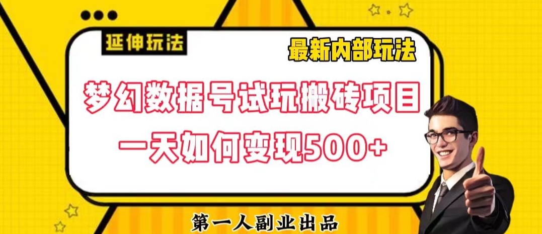 数据号回归玩法游戏试玩搬砖项目再创日入500+【揭秘】-网创资源吧