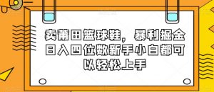 卖莆田篮球鞋,暴利掘金日入四位数新手小白都可以轻松上手【揭秘】-网创资源吧