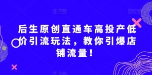 后生原创直通车高投产低价引流玩法,教你引爆店铺流量!-网创资源吧