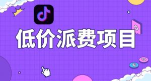 抖音低价派单项目，0门槛，日入1000+很轻松，小白可操作【揭秘】-网创资源吧