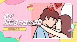 全网首发，揭秘超冷门匿名短信项目，通过信息差日入几百+【揭秘】-网创资源吧