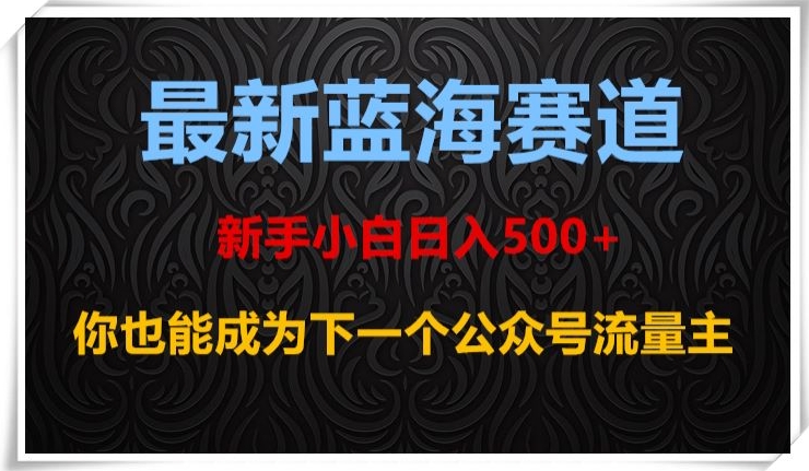 最新蓝海赛道，新手小白日入500+，你也能成为下一个公众号流量主【揭秘】-网创资源吧