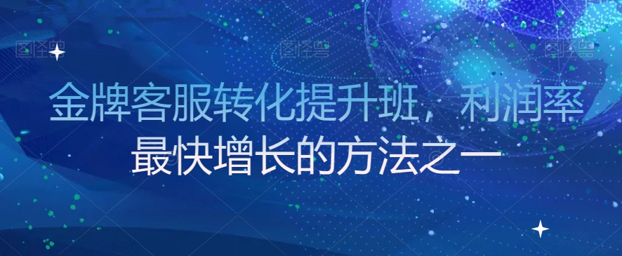 金牌客服转化提升班，利润率最快增长的方法之一-网创资源吧