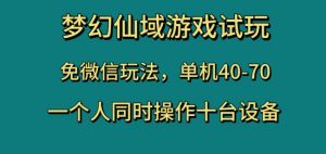 梦幻仙域游戏试玩，免微信玩法，单机40-70，一个人同时操作十台设备【揭秘】-网创资源吧