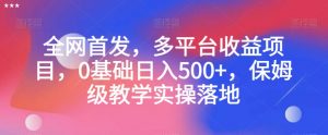 全网首发，多平台收益项目，0基础日入500+，保姆级教学实操落地【揭秘】-网创资源吧