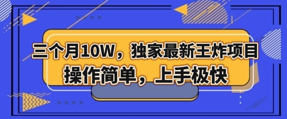 三个月10W，独家最新王炸项目！操作简单，上手极快【揭秘】-网创资源吧
