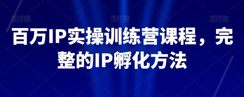 百万IP实操训练营课程，完整的IP孵化方法-网创资源吧