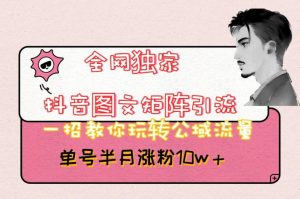 全网独家抖音图文矩阵引流，一招教你玩转公域流量，单号半月涨粉10w+【揭秘】-网创资源吧