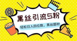 S粉变现,轻松日入四位数,黑丝题材+情感话术【揭秘】-网创资源吧
