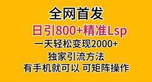 全网首发！日引800+精准老色批，一天变现2000+，独家引流方法，可矩阵操作【揭秘】-网创资源吧