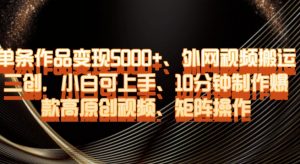 单条作品变现5000+、外网视频搬运二创，小白可上手，10分钟制作爆款高原创视频，矩阵操作【揭秘】-网创资源吧