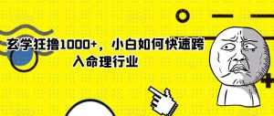 玄学狂撸1000+，小白如何快速跨入命理行业【揭秘】-网创资源吧