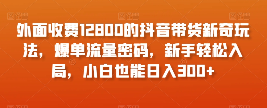 外面收费12800的抖音带货新奇玩法，爆单流量密码，新手轻松入局，小白也能日入300+【揭秘】-网创资源吧