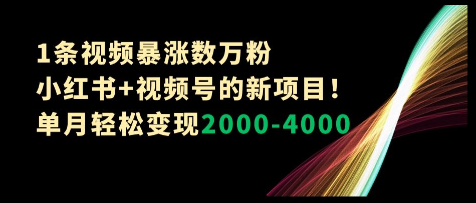1条视频暴涨数万粉–小红书+视频号的新项目！单月轻松变现2000-4000【揭秘】-网创资源吧