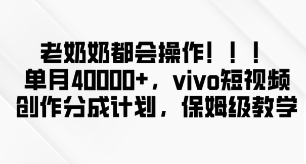 老奶奶都会操作，新平台无脑操作，单月40000+，vivo短视频创作分成计划【揭秘】-网创资源吧