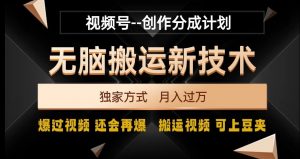 视频号无脑搬运新技术,破原创壕流量,独家方式,爆过视频,还会再爆【揭秘】-网创资源吧