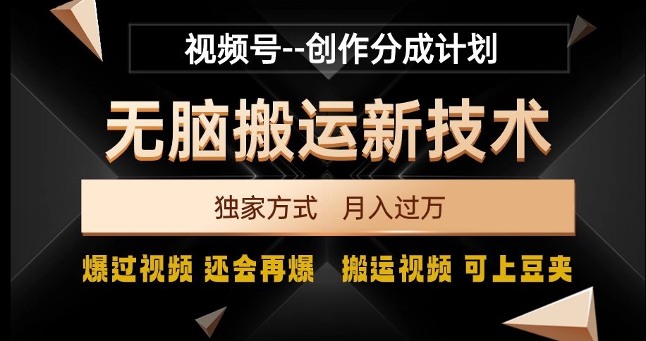 视频号无脑搬运新技术，破原创壕流量，独家方式，爆过视频，还会再爆【揭秘】-网创资源吧