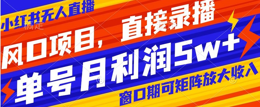 风口项目，小红书无人直播带货，直接录播，可矩阵，月入5w+【揭秘】-网创资源吧