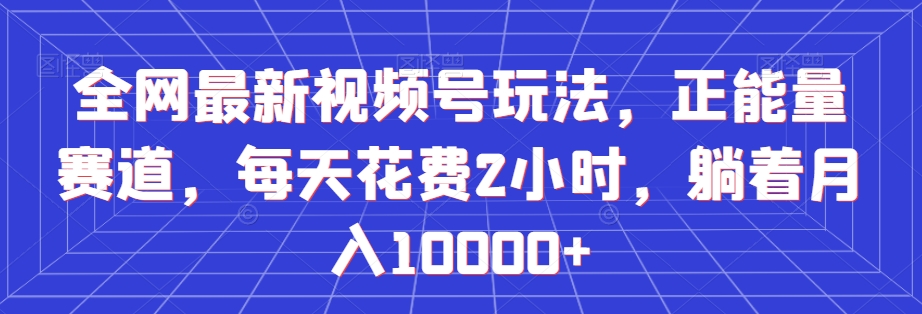 全网最新视频号玩法，正能量赛道，每天花费2小时，躺着月入10000+【揭秘】-网创资源吧