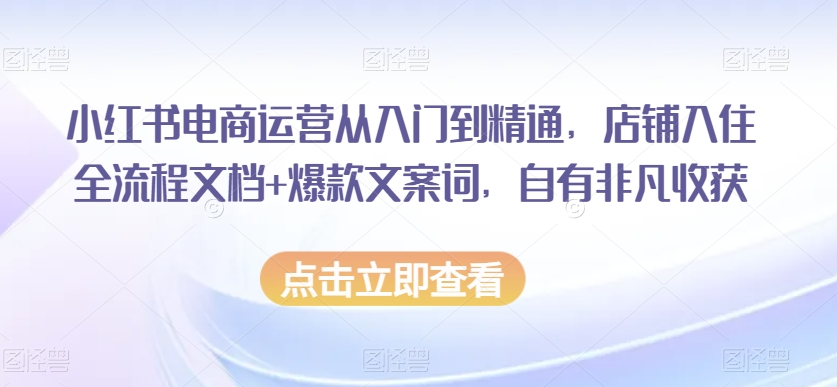 小红书电商运营从入门到精通，店铺入住全流程文档+爆款文案词，自有非凡收获-网创资源吧