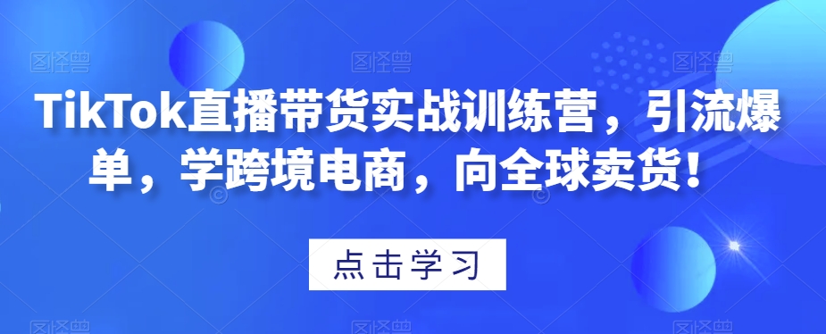 TikTok直播带货实战训练营，引流爆单，学跨境电商，向全球卖货！-网创资源吧