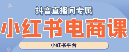 小红书电商高级运营课程，实操教学+案例分析-网创资源吧