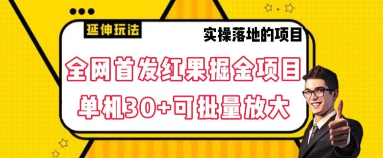 全网首发红果免费短剧掘金项目，单机30+可批量放大【揭秘】-网创资源吧