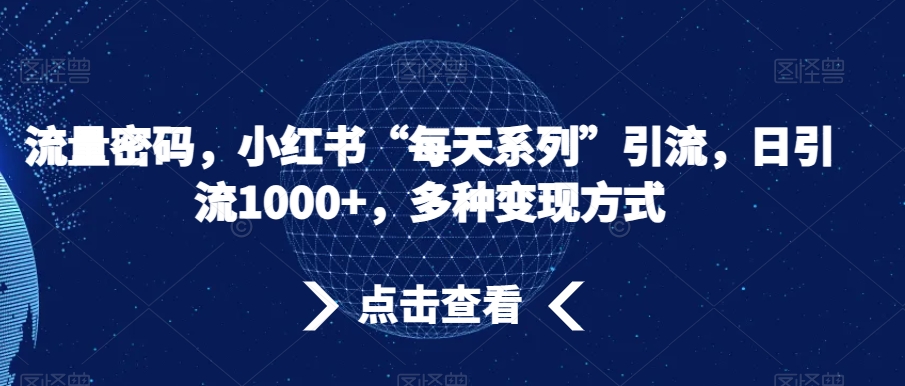 流量密码，小红书“每天系列”引流，日引流1000+，多种变现方式【揭秘】-网创资源吧