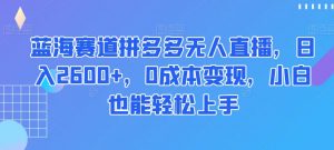 蓝海赛道拼多多无人直播,日入2600+,0成本变现,小白也能轻松上手【揭秘】-网创资源吧