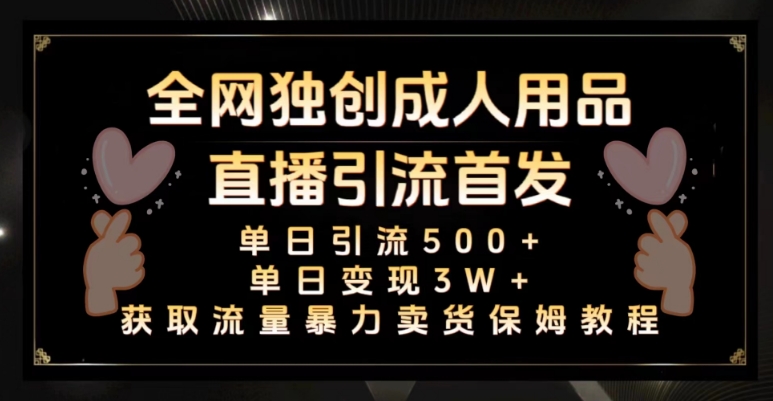 全网独创真人主播+无人直播单日引流500+，橙人用品暴力卖货单日变现3W+保姆似教学2.0【揭秘】-网创资源吧