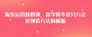 淘系运营核心课,你学的不是只方法是创造方法的根源-网创资源吧