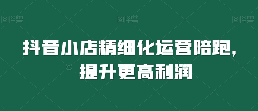 抖音小店精细化运营陪跑，提升更高利润-网创资源吧