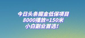 今日头条掘金低保项目,8000播放=150米,小白副业首选【揭秘】-网创资源吧