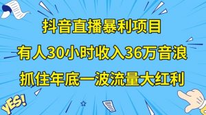 抖音直播暴利项目，有人30小时收入36万音浪，公司宣传片年会视频制作，抓住年底一波流量大红利【揭秘】-网创资源吧