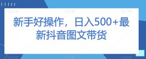 新手好操作,日入500+最新抖音图文带货【揭秘】-网创资源吧
