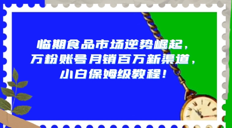 临期食品市场逆势崛起，万粉账号月销百万新渠道，小白保姆级教程【揭秘】-网创资源吧