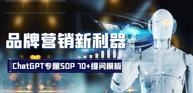 品牌营销新利器：ChatGPT专属SOP，70+提问模板【文档】-网创资源吧