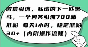 怎么搞精准创业粉?微信新赛道,每天一小时,利用Ai一个问答日引100精准粉-网创资源吧