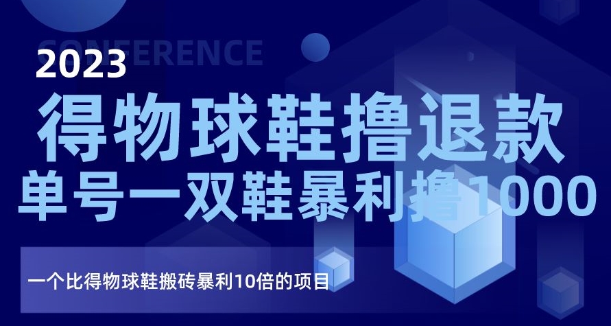 2023得物球鞋撸退款，单号一双鞋暴利撸1000，一个比得物球鞋搬砖暴利10倍的项目【揭秘】-网创资源吧