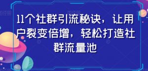11个社群引流秘诀,让用户裂变倍增,轻松打造社群流量池-网创资源吧