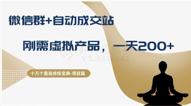 十万个富翁修炼宝典之8.微信群+自动成交站，刚需虚拟产品，一天200+-网创资源吧