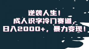逆袭人生！成人识字冷门赛道，日入2000+，暴力变现！【揭秘】-网创资源吧