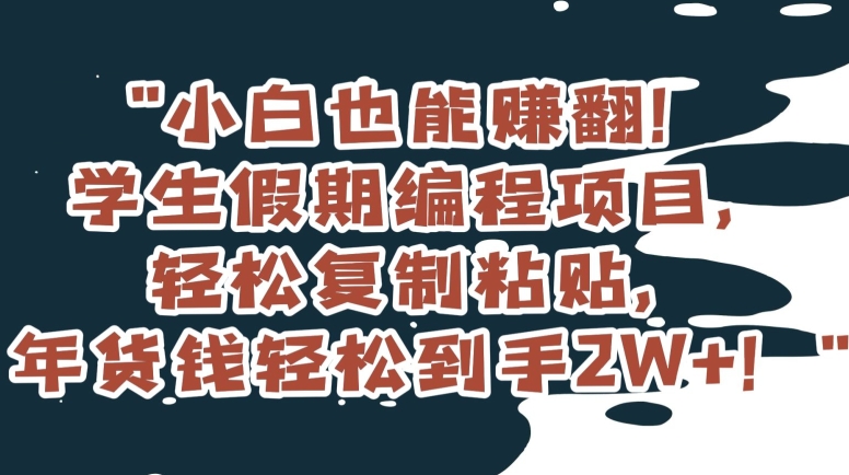 小白也能赚翻！学生假期编程项目，轻松复制粘贴，年货钱轻松到手2W+【揭秘】-网创资源吧
