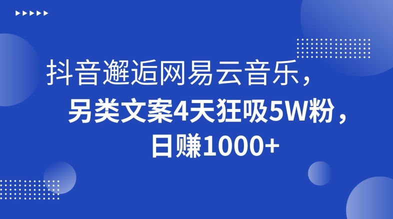 抖音邂逅网易云音乐，另类文案4天狂吸5W粉，日赚1000+【揭秘】-网创资源吧